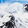 Collection Painting Prints Only