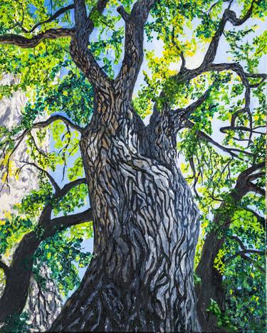 Original Impressionism Tree Paintings by Timothy McGuire
