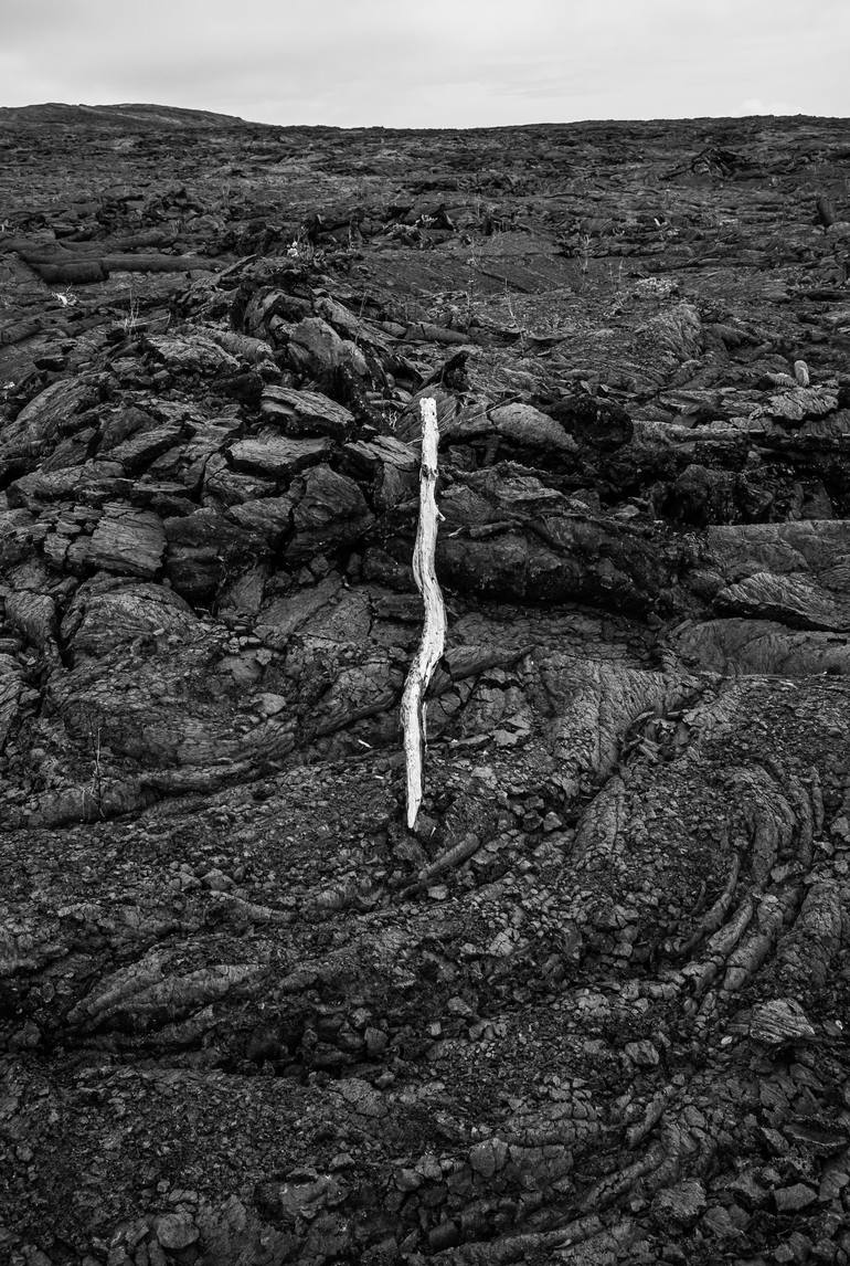 Original Documentary Landscape Photography by Timothy Mcguire