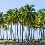 Collection Hawaii