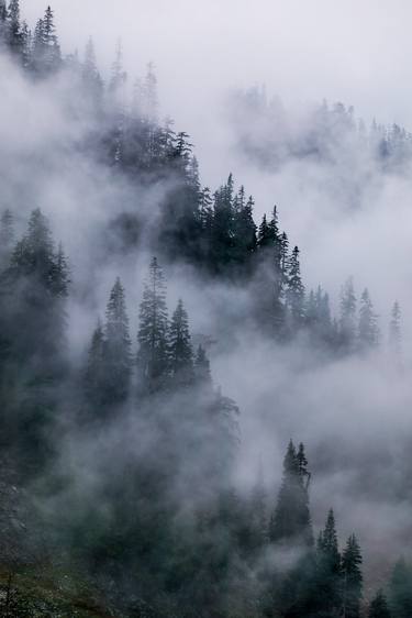 Cascade Mists thumb