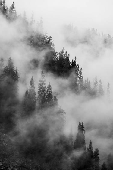Cascade Mists (B&W) thumb