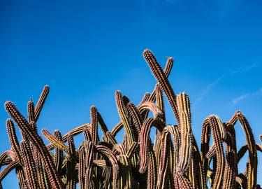 Original Nature Photography by Timothy McGuire