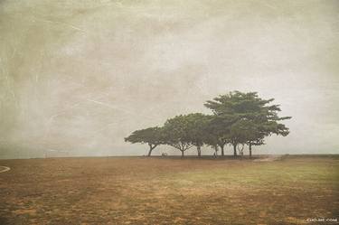 Original Abstract Landscape Photography by CHO ME