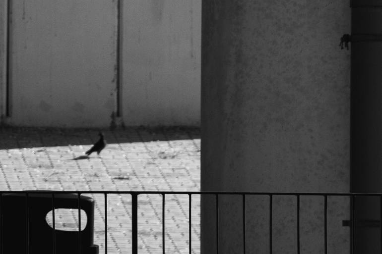 Original Conceptual Cities Photography by Cho Me