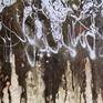 Dynamic forces of the universe represented in a free-form improvisation. Paint applied and manipulated using gravity, compressed air, sprayed water. Shellac, glue, earth and aluminum glitter used for texture.