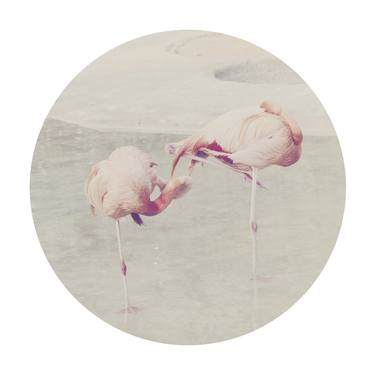 Pink Flamingos - Limited Edition 1 of 10 thumb