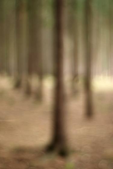 Print of Abstract Tree Photography by Milan MKM