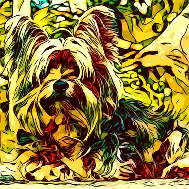 Camouflage Yorkshire Terrier - Limited Edition 1 of 50 thumb