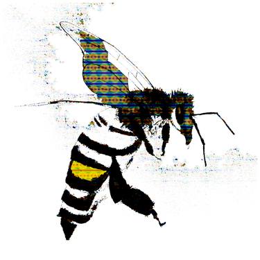 Bee, Fine Art Print, Limited Edition of 50 thumb