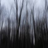 Windom Winter  #1 by John Stuart