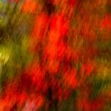 Red #1 by John Stuart
