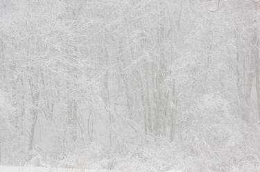 Snowfall, Pine Plains, NY - Limited Edition 1 of 25 thumb