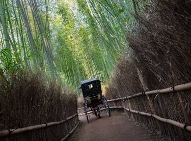 Rickshaw, Arashiyama Bamboo Grove - Limited Edition 1 of 50 thumb