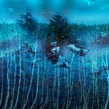 The Rain by Marie Kleiberova