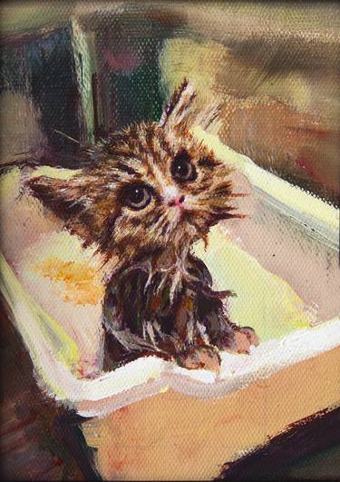 cat bath picture thumb