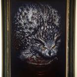 owl by Zhongwen Yu