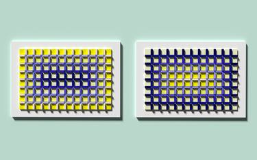 50 shades of white. Blue and Yellow (diptych) thumb