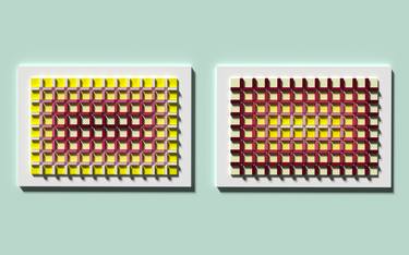 50 shades of white. Red and Yellow (diptych) thumb