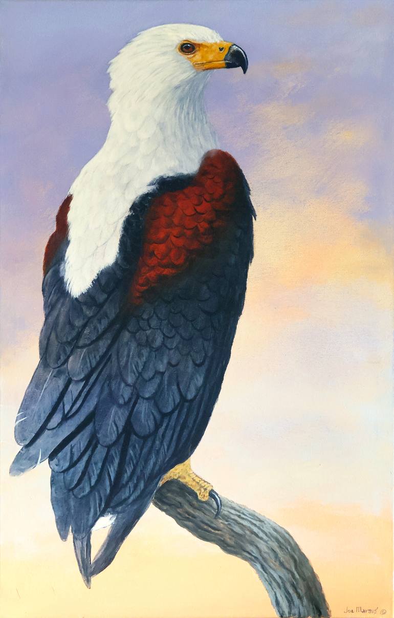Original Animal Painting by Joe Marais | Realism Art on Canvas | Guardian of the Lake