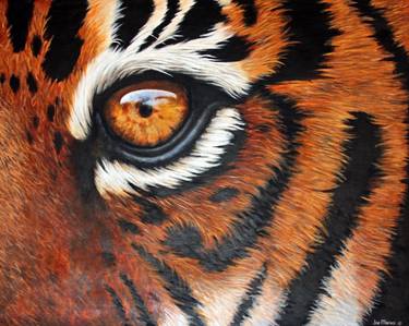 Original Realism Animal Paintings by Joe Marais