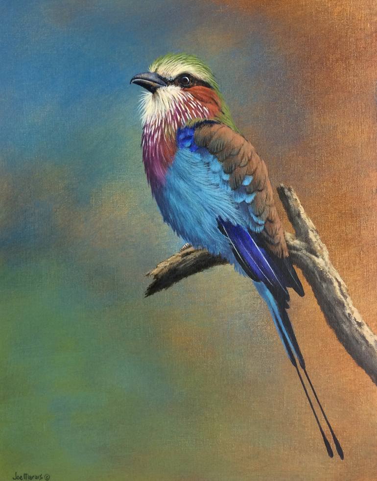 lilac breasted roller painting