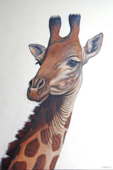 african art paintings of animals