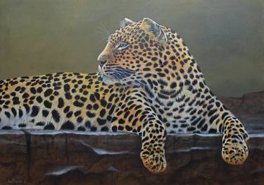 Original Animal Paintings by Joe Marais