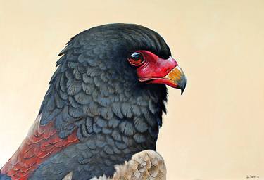 Print of Fine Art Animal Paintings by Joe Marais