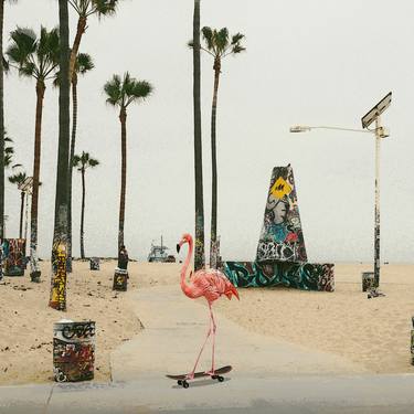 Venice Beach Flamingo - Limited Edition 1 of 15 thumb
