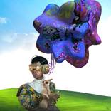 Fantasy Stone - Limited Edition of 20 by Helt Sort