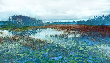 Original Contemporary Botanic Photography by Winifred Helton-Harmon
