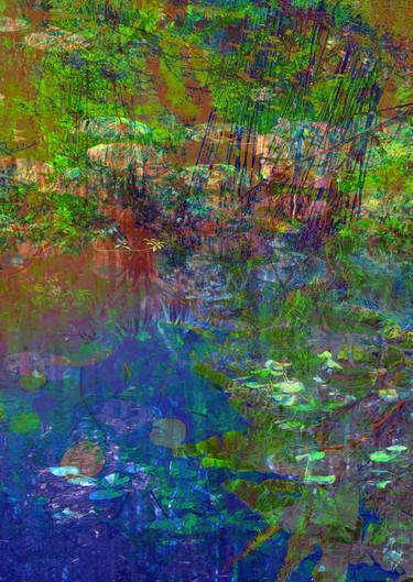 Original Abstract Nature Photography by Winifred Helton-Harmon