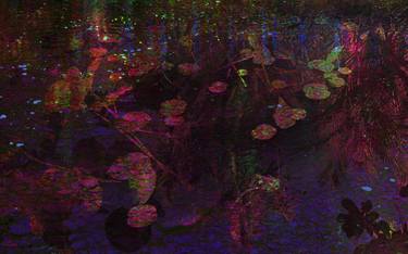 Original Abstract Botanic Photography by Winifred Helton-Harmon