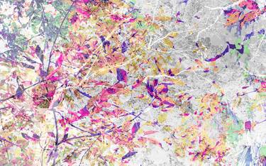 Original Abstract Botanic Photography by Winifred Helton-Harmon