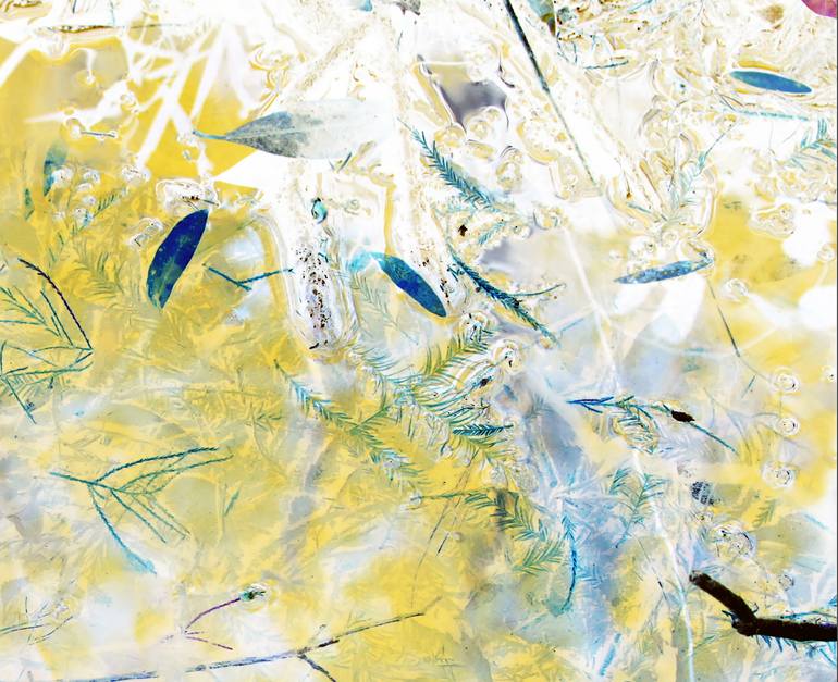Original Abstract Botanic Photography by Winifred Helton-Harmon