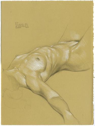 Original Nude Drawings by Daniel Maidman