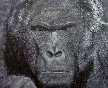 Original Fine Art Animal Paintings by Earl Chaplin