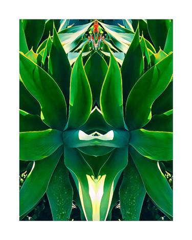 Original Surrealism Botanic Photography by Sandra Roberts