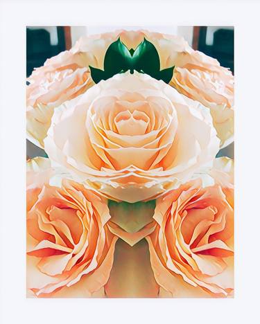 Original Contemporary Floral Photography by Sandra Roberts