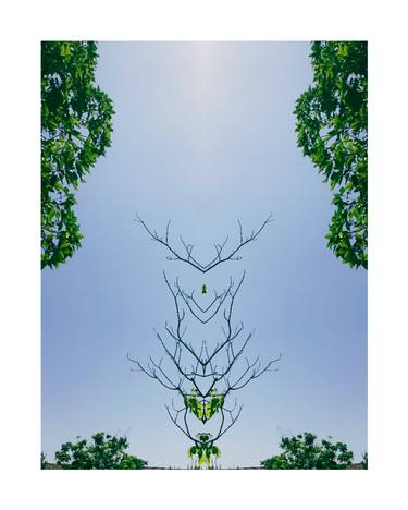 Original Digital Art Light Photography by Sandra Roberts