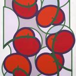 Collection geometric flora series