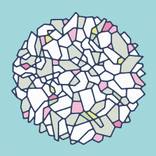 Collection geometric flora series