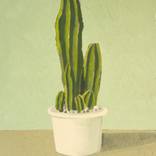 Collection Modern Farmhouse