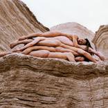 Collection Pilobolus