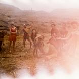 Collection Pilobolus