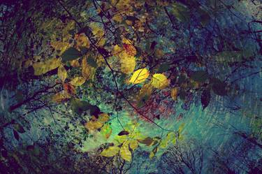 Print of Tree Paintings by Alexander Fuzaylov
