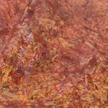 Autumnal Revery by Marian Busoi