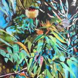 “Tropical beauty “ by Elena Ryan