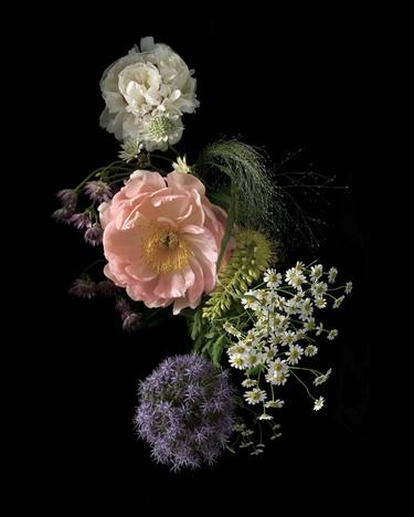 Print of Fine Art Floral Photography by D'Este Hanson
